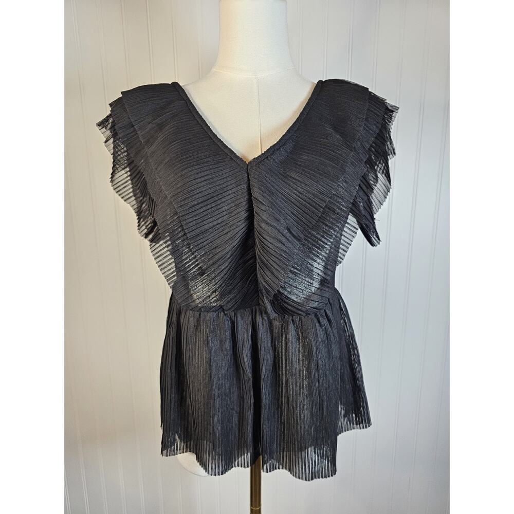 Cato Pleated Ruffle Sheer Blouse Women's XS Whimsygoth Festival Romantic